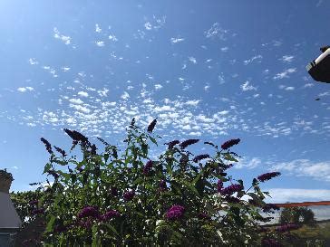 bbc weather banbridge|Cambridge .